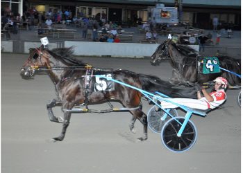 $111,000 NYSS action at Vernon