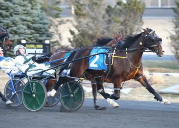 Flashy filly gaining confidence