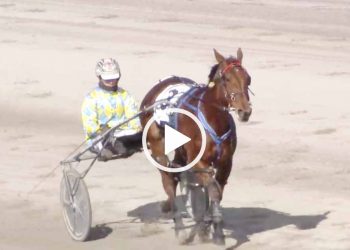 Two from two for Team Tindale