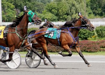 In-form Lazzaro back in winner’s circle