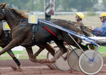 Love You represented in $1m Hambletonian