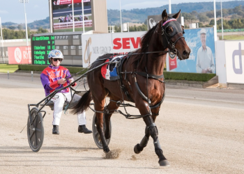 Rue bounces towards Inter Dominion dream