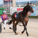 Rue bounces towards Inter Dominion dream
