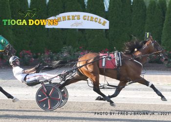 Four and feature for Marcus Miller