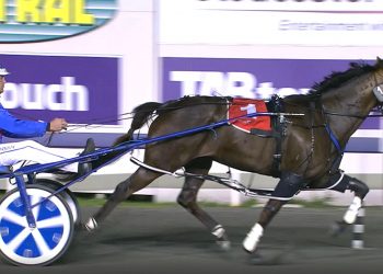 Top WA trainers ready for Victorian raid