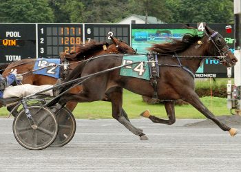 Sears, Courant & Melander have big NYSS day