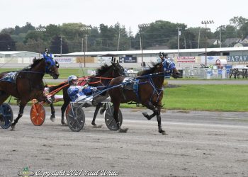 Mugshots Bro steals the show in Batavia Open