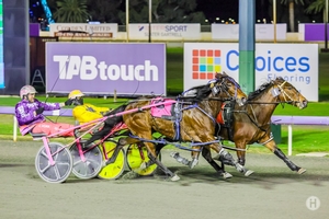 Time for Star to shine at Gloucester Park