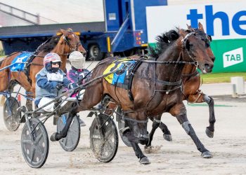 Dominant stable starting to flex its muscle again