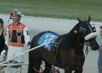 On fire Partyintheshadows lowers mark again