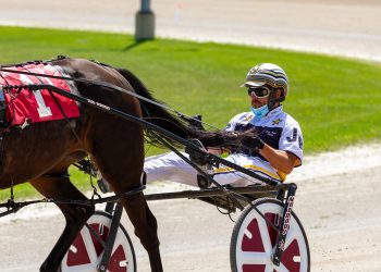 Class climb no problem for Moneyman Hill