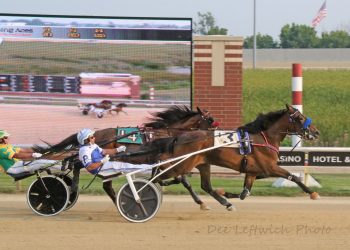 Quadruple wins each for Plano and Magee