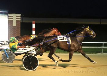 Pridecrest surges to win Aces feature
