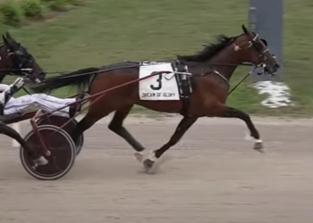 Publicity Seeker earns headlines in $56,200 Dream of Glory