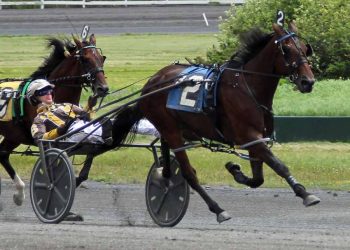 Forrest Blu stars in NYSS
