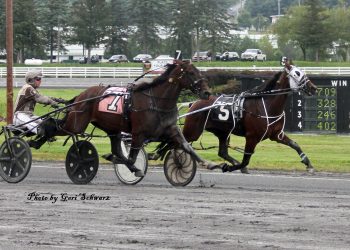 Camwood keeps the good times rolling