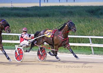 SB Bodacious returns a winner at Aces