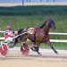 SB Bodacious returns a winner at Aces
