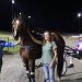 Special horse ends 13-year hiatus from training