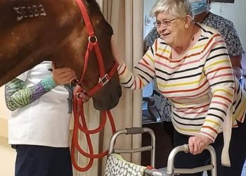 SRF horse makes many smile