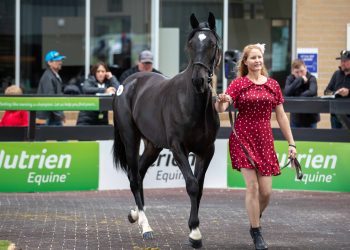 Nutrien committed to holding first NSW sale