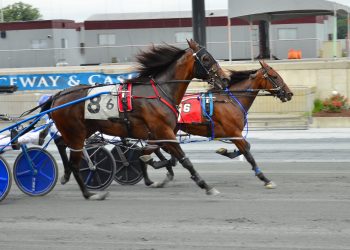 Scuola Hanover defeats Open males