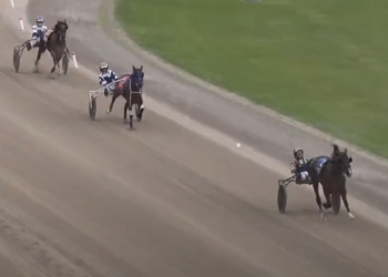 Dominant winners in Balanced Image elims