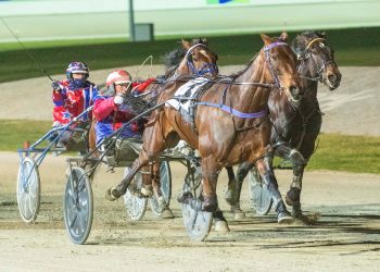 Group 1 winner runs his last race