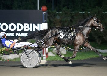 More Golds to perfect Millar Farms rookies