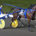 Smooth Lou strongest in 62nd Gold Cup and Saucer