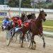 Tassie racing loses a Star