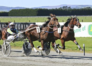 Norman’s team to offer value