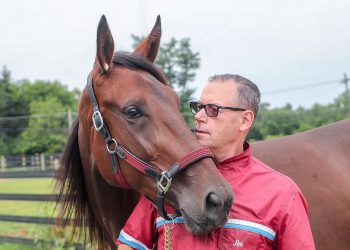The gloves are off on Venerate in Hambo