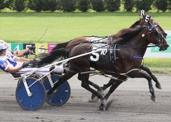 McKee divisions to Catch The Fire, Allywag Hanover