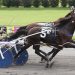 McKee divisions to Catch The Fire, Allywag Hanover 1 McKee divisions to Catch The Fire, Allywag Hanover