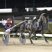 Watchmylips gearing up for Group 2 feature