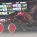 All-age track record set at Ocean Downs