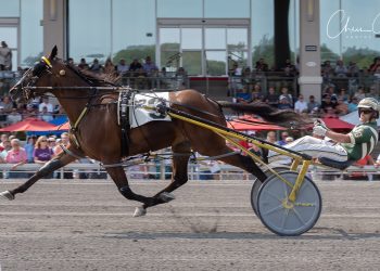 $106,745 Adioo Volo a breeze for Blue Diamond Eyes