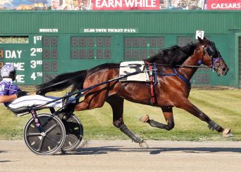 Ohio State Fair starts Thursday at Scioto