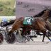 Upset winner in Meadows feature trot