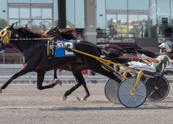 Global Pandemic matches stakes record