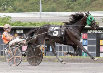 Gate-to-wire for Harness AM