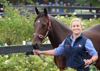 Victorian breeders looking to the future