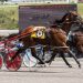 Palone wins five including feature