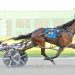 “Kings” reigns in Buckeye Stallion Series