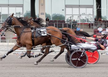 Prince Of Tides battles to tough Open win