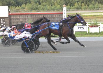 Gotta Love Cabot wins fourth in five