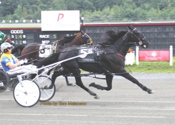 Jay Randall returns to Plainridge winner’s circle