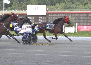 Worst to first for Northern Skyway