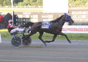 Blue Knight goes the distance